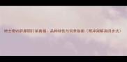 哈士奇VS萨摩耶打架真相品种特性与饲养指南附冲突解决四步法