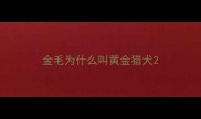 金毛为什么叫黄金猎犬