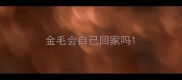 金毛会自己回家吗