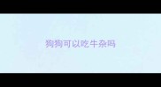 狗狗可以吃牛杂吗