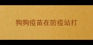 狗狗疫苗在防疫站打