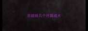 吉娃娃几个月算成犬