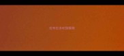 拉布拉多吃猕猴桃