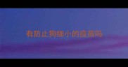 有防止狗细小的疫苗吗