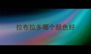 拉布拉多哪个颜色好