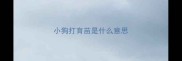 小狗打育苗是什么意思
