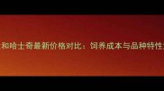 柴犬和哈士奇最新价格对比饲养成本与品种特性深度