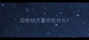 边牧幼犬喜欢吃什么