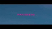 狗狗尿液是酱油色