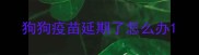 狗狗疫苗延期了怎么办