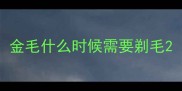 金毛什么时候需要剃毛