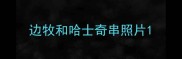边牧和哈士奇串照片