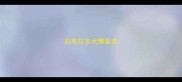 拉布拉多犬哪里卖