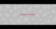 沙皮狗6个月算成年