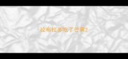 拉布拉多吃了芒果