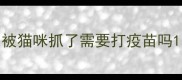 被猫咪抓了需要打疫苗吗