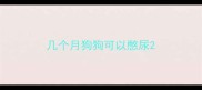 几个月狗狗可以憋尿