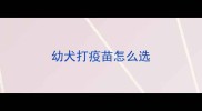 幼犬打疫苗怎么选