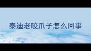 泰迪老咬爪子怎么回事