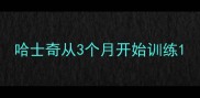 哈士奇从3个月开始训练
