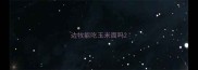 边牧能吃玉米面吗