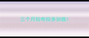 三个月拉布拉多训练