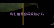 狗打疫苗会导致细小吗