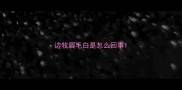 边牧眉毛白是怎么回事