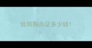 给狗狗办证多少钱