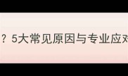 拉布拉多犬流鼻涕怎么办5大常见原因与专业应对指南附护理全攻略