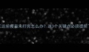 宠物托运前疫苗未打完怎么办这3个关键点必须提前了解