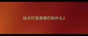 幼犬打疫苗都打的什么