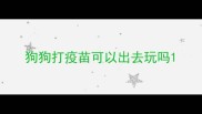 狗狗打疫苗可以出去玩吗