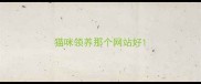 猫咪领养那个网站好