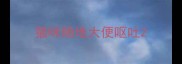 猫咪随地大便呕吐