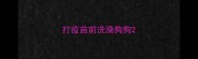 打疫苗前洗澡狗狗