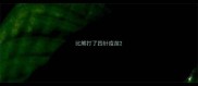 比熊打了四针疫苗