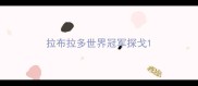 拉布拉多世界冠军探戈