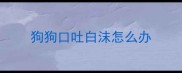 狗狗口吐白沫怎么办