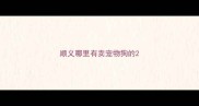 顺义哪里有卖宠物狗的