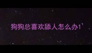 狗狗总喜欢舔人怎么办