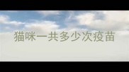 猫咪一共多少次疫苗