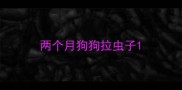 两个月狗狗拉虫子