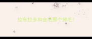 拉布拉多和金毛那个掉毛