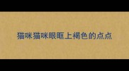 猫咪猫咪眼眶上褐色的点点