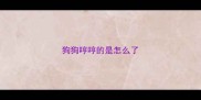 狗狗哼哼的是怎么了