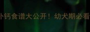 拉布拉多补钙食谱大公开幼犬期必看补钙指南