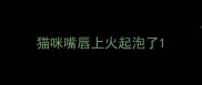 猫咪嘴唇上火起泡了