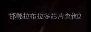 邯郸拉布拉多芯片查询