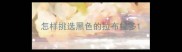 怎样挑选黑色的拉布拉多